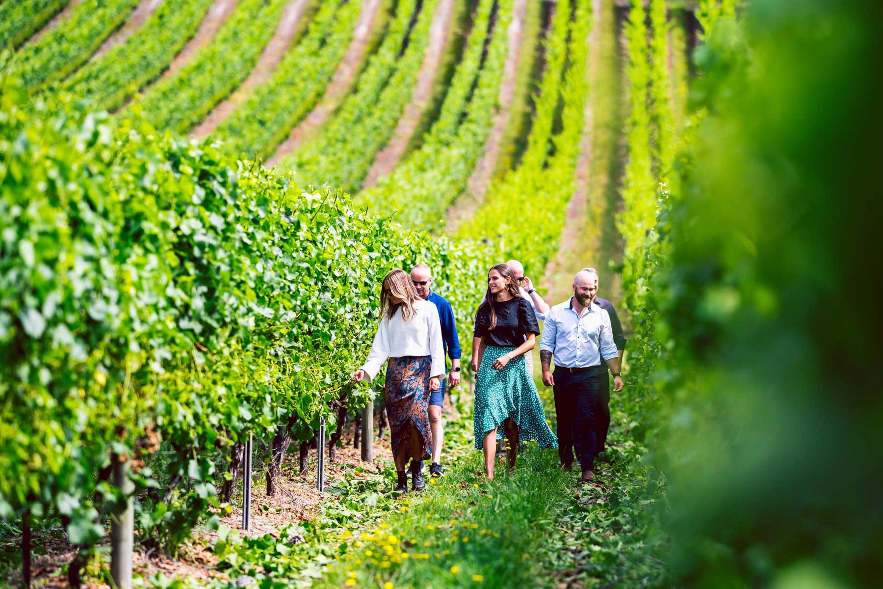 allo-driver-taxi-30-marseille-wine-tours